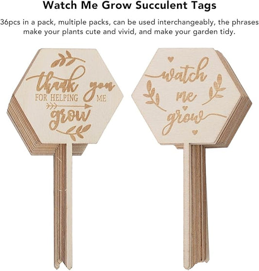 Watch Me Grow Succulent Tags, 36pcs Hexagon Plant Stakes Labels Baby Shower Succulent Tag for Seed Flowers Garden Potted Plants