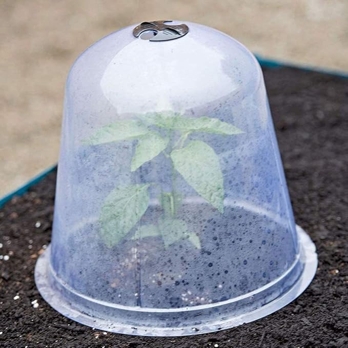 2pcs Plant Dome Garden Cloche Dome Plant Bell Protector Cover Plastic Protector Mini Insulation Cover Plastic Mini Greenhouse Clear