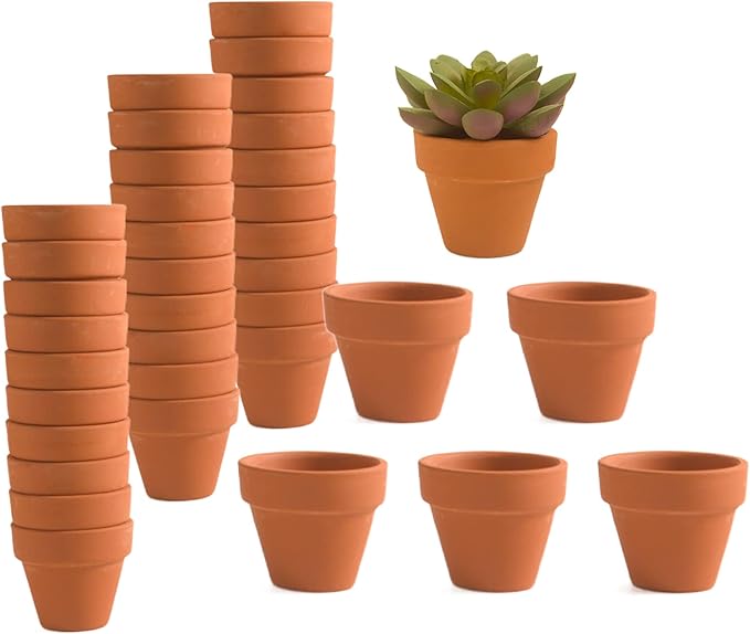 36 Pieces of Small Mini 2 inch Clay Flower pots, Cactus Succulent Nursery pots with Drainage Holes, Suitable for Indoor/Outdoor Succulent Plants, Crafts, Wedding Favor