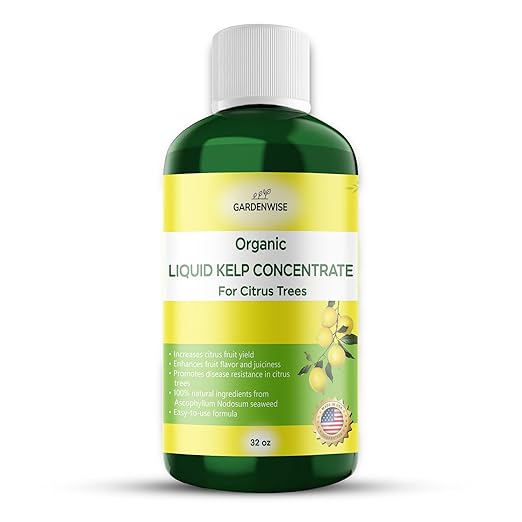 Organic Premium Kelp Seaweed Fertilizer: All-in-One Citrus Tree Fertilizer for Meyer Lemon, Lime, and Other Fruiting Trees - Liquid Plant Food for Potted & Outdoor Citrus Trees (32 OZ)