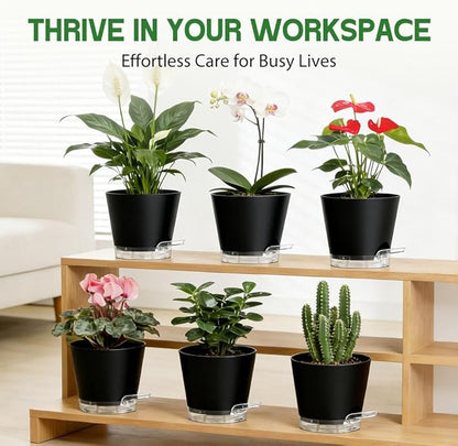 Self Watering Pots for Plants, 2026 New Flower Plant Pots with Drainage Holes, Wicking and Clear Reservoirs for Succulent, Aloe, Cacti and Others - 6 Pack (Black, 5")