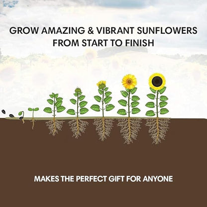 Sunflower Seed Growing Kit -All in One Sun Flower Garden Kit - A Complete Sunflower Gift - Beginner Starter Plants- Seed Variety Pack