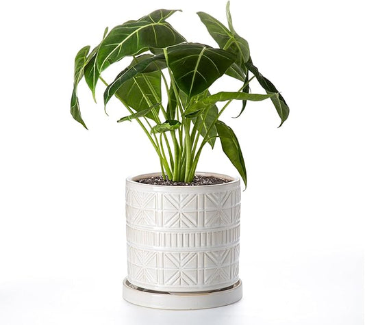 Ceramic Plant Pots Indoor-Outdoor: 8 Inch Embossed Planters with Drainage Hole & Saucer - Modern Decorative Flower Pots for Home Garden Patio Office Decor