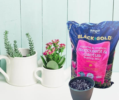 Black Gold Succulent Cactus Mix 8 qt