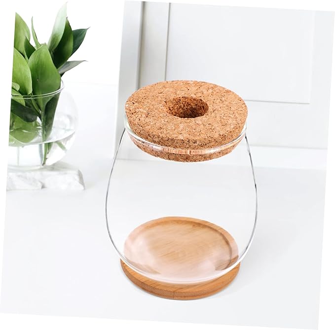 Milisten 1 Set Hydroponic Glass Vase DIY Cork Bottle Micro Landscape Bottle Coral Jar Aquarium Glass Terrarium Cork Planter Terrarium Dill