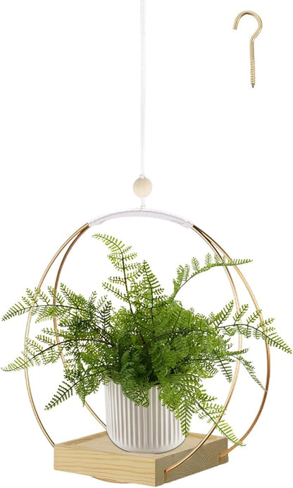 Hanging Planter for Indoor Plants, Plant Hanger with Sturdy Wood Base,Modern Boho Macrame Plant Hanger,Wall Ceiling Window Stands(Plants/Pots Not Included)