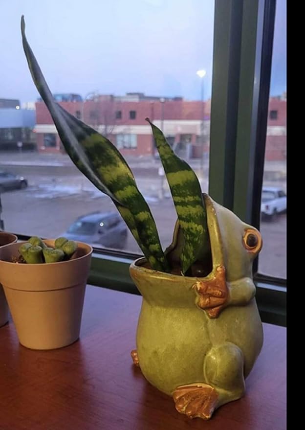Ceramic Succulent Plant Pot Cactus Plant Pot Flower Pot Container Planter with Drainage Hole Home Office Desk Garden Gift Idea Animal Shaped Flower Pot Cute Vase Pot (Large Frog)