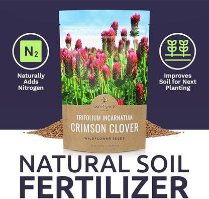 Crimson Clover Seeds – Bulk Quarter Pound Bag – Over 20,000 Open Pollinated Non-GMO Seeds – Trifolium incarnatum