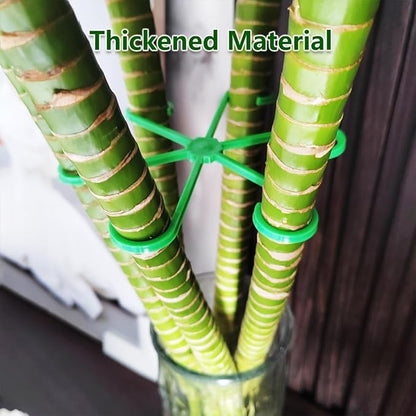 Plant Stem Holders 12 Pieces,4 Sizes Flower Stand Stem Hooks Plant Care Planting Accessories,Plastic Reusable Indoor Plant Stem Holders for Indoor and Outdoor Flowers and Plants
