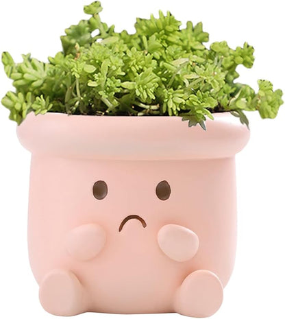 Cute Face Planter Pot, Small Resin Head Planters for Indoor Plants, Funny Smiling Face Flower Pot Succulent Planter with Drainage Hole, Gift IdeaI for Birthday Christmas (Pink)
