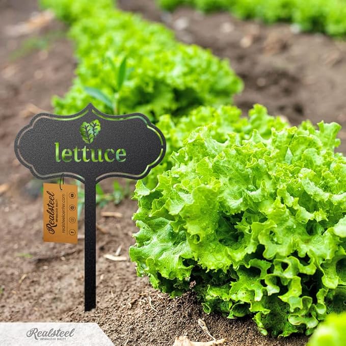 RealSteel Metal Seed & Plant Markers – Elegant Indoor & Outdoor Garden Stakes – Durable Herb, Vegetable & Fruit Plant Labels for Pots, Raised Beds & Greenhouse – Farmhouse Garden Gift - (Garlic)