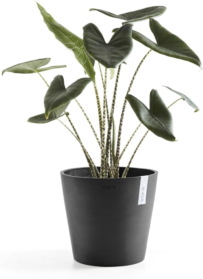 Ecopots Amsterdam Durable Modern Round Indoor/Outdoor Recycled-Based Composite Flower Pot Planter, Dark Grey, 10"