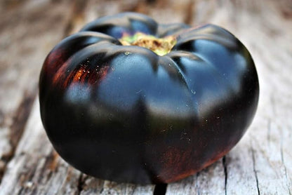 Black Tomato Seeds for Planting 20+ Seeds