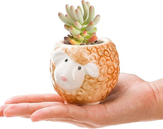 6 Pack Small Succulent Pots with Drainage Hole, 3 Inch Cute Ceramic Animal Planter with Saucer, Unique Air Plant Holder, Desktop Plant Flower Pot for Indoor Plants, Cactus, Garden, Home Decor
