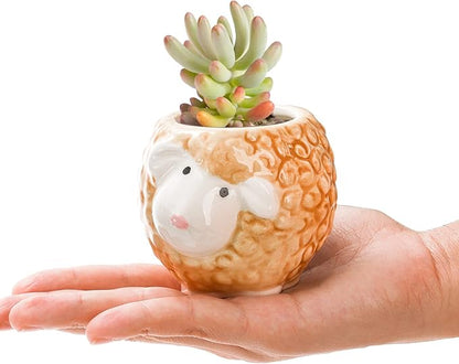 6 Pack Small Succulent Pots with Drainage Hole, 3 Inch Cute Ceramic Animal Planter with Saucer, Unique Air Plant Holder, Desktop Plant Flower Pot for Indoor Plants, Cactus, Garden, Home Decor