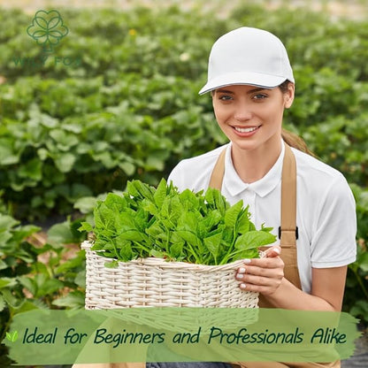 Premium Malabar Spinach Seeds - 100 Heirloom, Non-GMO Seeds for Planting – Easy-to-Grow Climbing Vegetable, Fast Growing Summer Green for Garden or Patio