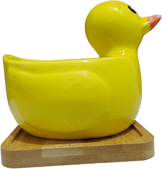 Cute Indoor Cartoon Animal Duck Shaped Ceramic Succulent Cactus Flower Plant Pots Planter with Drainage Hole - Plant Not Included (Medium)