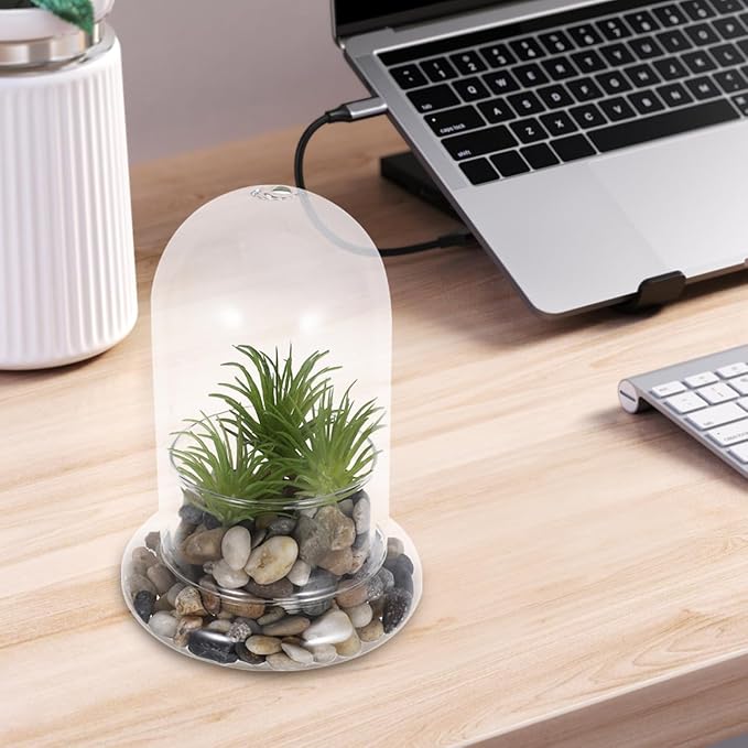 Hemoton Micro Landscape Ecological Bottle Terrarium Jar with 8Mm Hole Glass Plant Dome for Home Office Decoration and DIY Miniature Garden