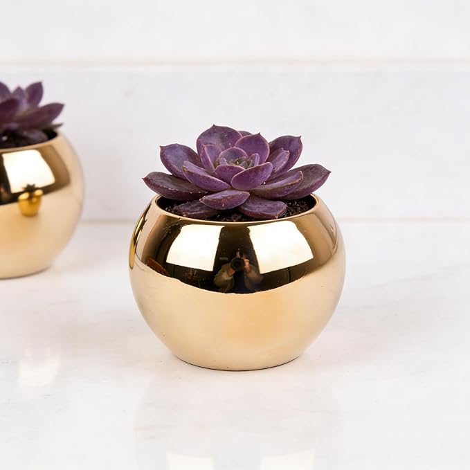 Gold Spherical Ceramic Plant Pots Succulent Small Planter Indoor Modern Round Decorative Indoor-Outdoor Garden Plant Pots with Drainage Holes - Plants Not Included 3.94 x 3.94 x 3.15 Inch