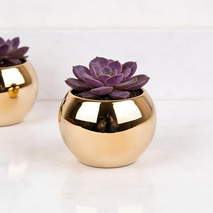 Gold Spherical Ceramic Plant Pots Succulent Small Planter Indoor Modern Round Decorative Indoor-Outdoor Garden Plant Pots with Drainage Holes - Plants Not Included 3.94 x 3.94 x 3.15 Inch