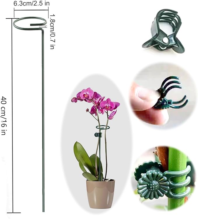 10 pcs 16 inch Metal Single Stem Flower Plant Support Stakes and Rings for Amaryllis Orchid Lily Sunflower Rose Narcissus