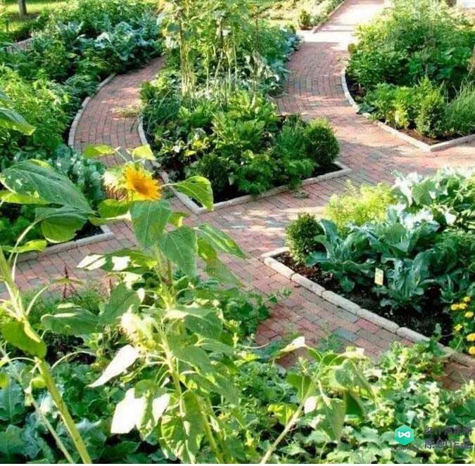 Super Absorbent Polymer Helps Plant Growth and Plant Establishment (10 Pounds)