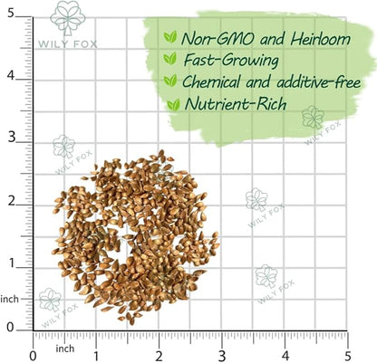 Apple Seeds for Planting – 10+ Heirloom Apple Tree Seeds for Home Garden, Fruit Tree Seeds for Backyard Orchard, Growing Instructions Included