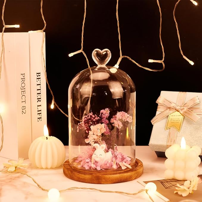 NBEADS Heart Glass Dome, 8.66 Inch Long Cloche Bell Jar Terrarium with Wood Base Decorative Display Dome Case for Plants Flower Aroma Candle Desktop Decoration, Clear