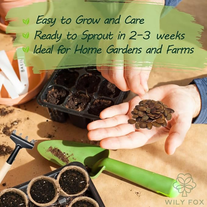 Persimmon Seeds for Planting – 35+ Heirloom Persimmon Tree Seeds for Home Garden, Fruit Tree Seeds for Backyard Orchard
