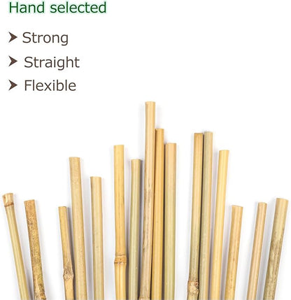 40pcs Natural Bamboo Sticks for Indoor and Outdoor Plants, 16 Inch Plant Support Stakes for Tomato, Beans, Potted Plants and Vegetable