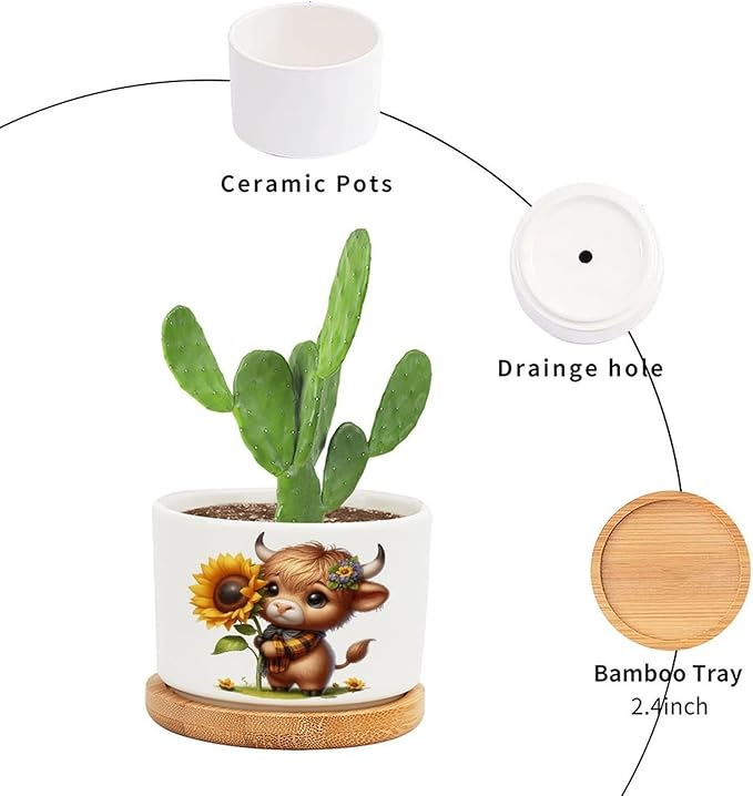 DreamAutumn Easter Highland Cow Planter Ceramic Round Plant Pots with Drainage Holes and Bamboo Tray Planting Small Flower Pots for Home Windowsill Desk Garden Indoor Outdoor Use