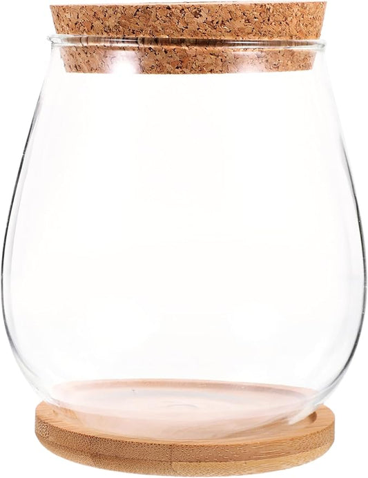Milisten 1 Set Hydroponic Glass Vase DIY Cork Bottle Micro Landscape Bottle Coral Jar Aquarium Glass Terrarium Cork Planter Terrarium Dill