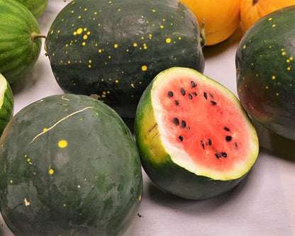 TomorrowSeeds - Moon & Stars Red Watermelon Seeds - 60+ Count - for 2026 Planting Heirloom Watermelons Crimson Red Flesh Yellow Speckled Black Rind Melon Fruit Grow Your Own Home Farm Patio Healthy