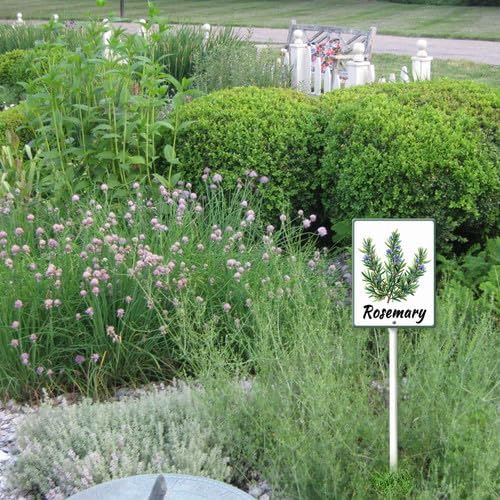FemiaD Plant Label Signs Planted Herb Garden Markers Waterproof Aluminum Plant Stake Tags Rosemary Sign for Nursery Indoor Outdoor Garden Decoration 8x12inch