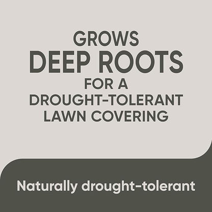 Scotts Pursue Blue Grama with Natural Seed, Seeding for Large Areas, 1 lb.