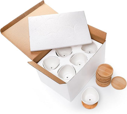 Foraineam 12 Pack Mini Succulent Planter Pots, Small Ceramic Cactus Planters White Plant Flower Pots with Bamboo Tray for Herbs, Seeds, Beans, Cacti, Succulents