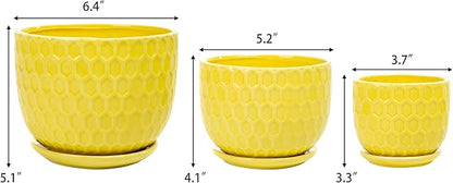 Yellow Ceramic Flower Pots with Saucers, Modern Round Ceramic Succulent Plant Pots with Honeycomb Inspired Texture Design, Small to Medium Sized, Set of 3