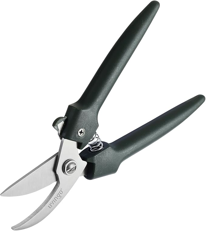 LIVINGO 7.5 Inch Garden Pruning Shears Set, Stainless Steel Straight & Curved Blades with Spring Lock, Hand Pruners for Trimming Plants, Flowers, Herbs and Small Branches
