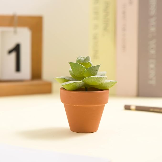 Fcacti 2 Inch Terracotta Pots Pack of 72-Mini Clay Pot with Drainage Hole for Tiny Cactus Herb lithop,Small Succulent Planter Nursery Plant Pot for Windowsill,Cactus Plant,Crafts,Wedding Favors
