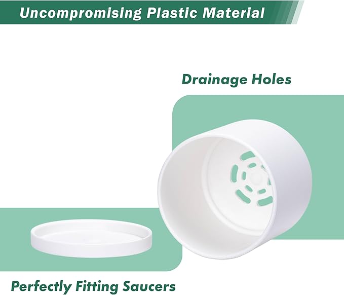 D'vine Dev 10 Pack Plastic Plant Pots for Plants, 6.5/6/5.5/5/4.5/4/3.5/3/2.5/2 Inch Indoor Planters Cylindrical Succulent Pot with Drainage Hole and Saucer, White, 74-S-A