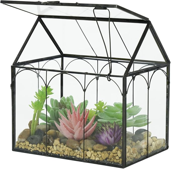 Ferrisland Glass Plant Terrarium Container Wardian Case Indoor Small Succulent Terrarium Planter W/Door for Tabletop Decor DIY (6" L x 4.3" W x 6.3" H)