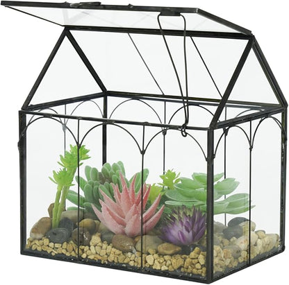 Ferrisland Glass Plant Terrarium Container Wardian Case Indoor Small Succulent Terrarium Planter W/Door for Tabletop Decor DIY (6" L x 4.3" W x 6.3" H)