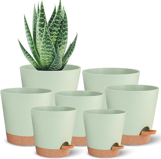 Self Watering Pot for Indoor & Outdoor Plants - African Violet, Flowers, Succulent & Cactus Plant Pots with Drainage Holes - Green Plastic Pots - Gift Idea for Lazy People - House Decor