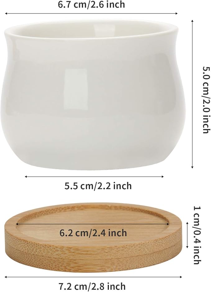 ZOUTOG 12 Pack Succulent Pots, 2.6 Inch Mini Ceramic Pots for Flower or Cactus Plants with Drainage Hole,Plants Not Included