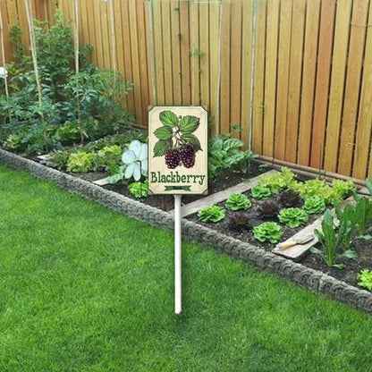 Uptell Vintage Aluminum BlackBerry Fruit Signs Yard Sign with Stake for Garden Fruit Garden Label Stakes Plant Markers for Outdoor Plants Waterproof 8x12 inch