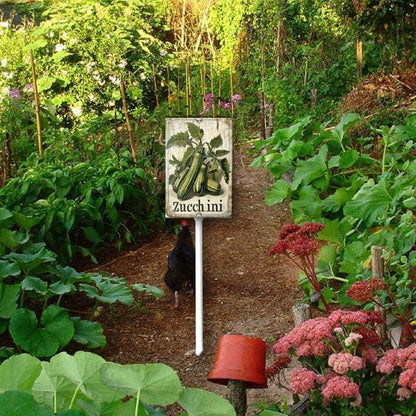 Uptell Vintage Vegetable Signs for Garden with Stake Zucchini Yard Sign Vegetable Garden Label Stakes Plant Markers for Outdoor Plants Waterproof 8x12inch