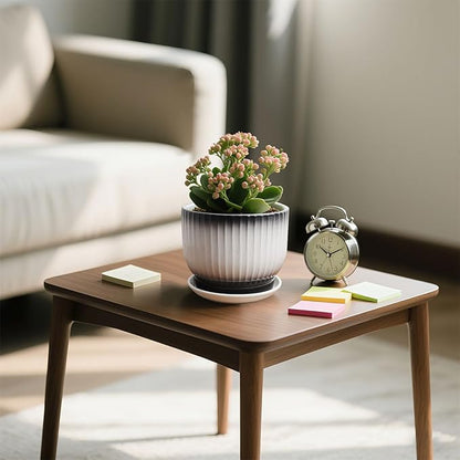 6.7 + 5.5 Inch Ceramic Plant Pots,Set of 2,Planters with Drainage and Saucer,Indoor Pots for Plants,Modern Flower Pots for Home and Office（Black + White）