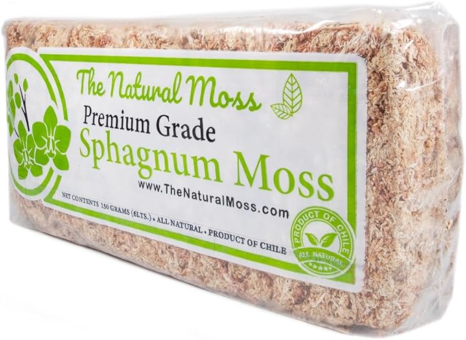 Inc Premium Chilean Sphagnum Moss 150 Grams/0.33 pounds, Premium Moss Dried, Long Fiber Moss Perfect for Healthy Orchids & Plants Growth repotting