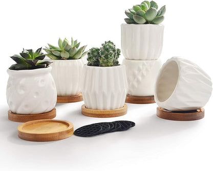 B SEPOR Set of 6 White Simple Porcelain Planters for Small Plant Pots Baby Succulent Cactus with Drainage and Saucer for Home Office Decoration Gift(White Stripes)