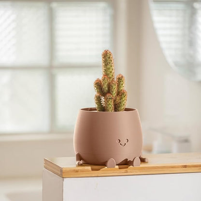 TOPOLA Happy Face Planter, 5.2 Inches Plastic Plant Pot, Self Watering Plant Pot with Drainage Holes for Indoor Outdoor, Succulent Pot, Funny Flower Pot, Khaki